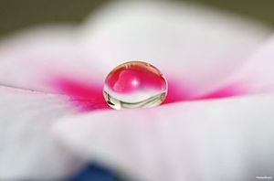 320px-Sparkle_water_drop-other