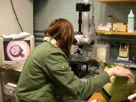 Image how to get into research