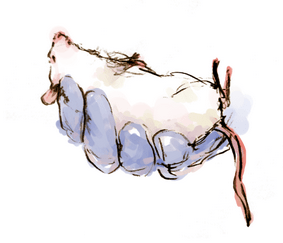 Mouth-to-mouse resuscitation: A first-hand overview of rescue in research&nbsp;settings