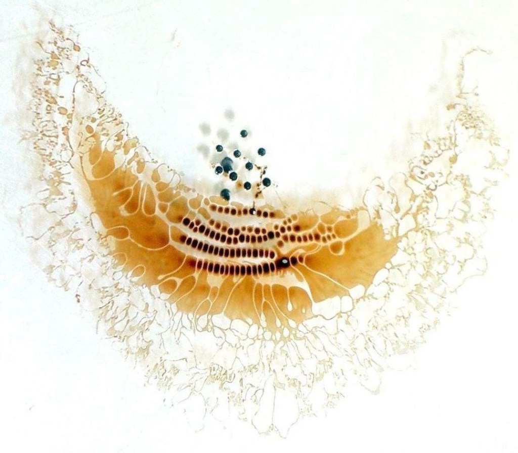 (Ashok Sinha, Ranjan Ganguly and Ishwar K. Puri / Engineering Science and Mechanics Department, Virginia Polytechnic and State University)