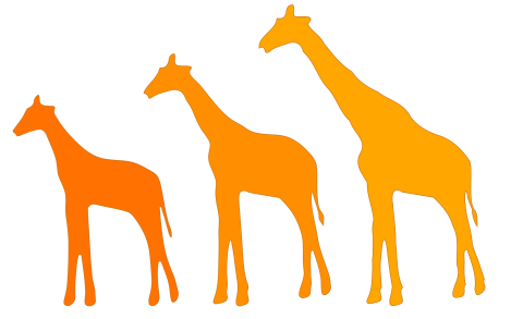 A misunderstanding as to the definition of