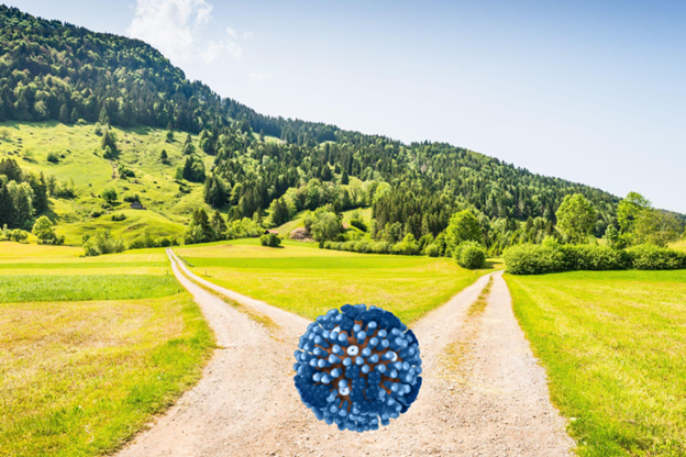 Flu Season and the Future of Influenza in a Post-Covid&nbsp;World