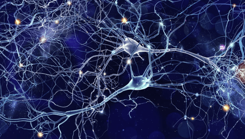 Memory Beyond the Brain: How Non-Neuronal Cells Are Capable of&nbsp;Remembering