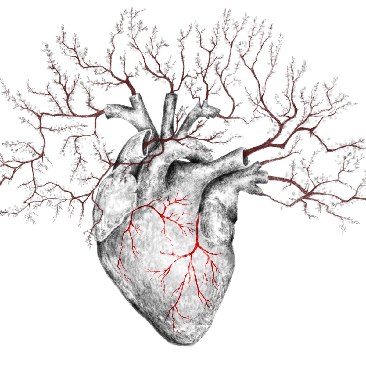 What do a broccoli, a lightning strike, and blood vessels have in&nbsp;common?