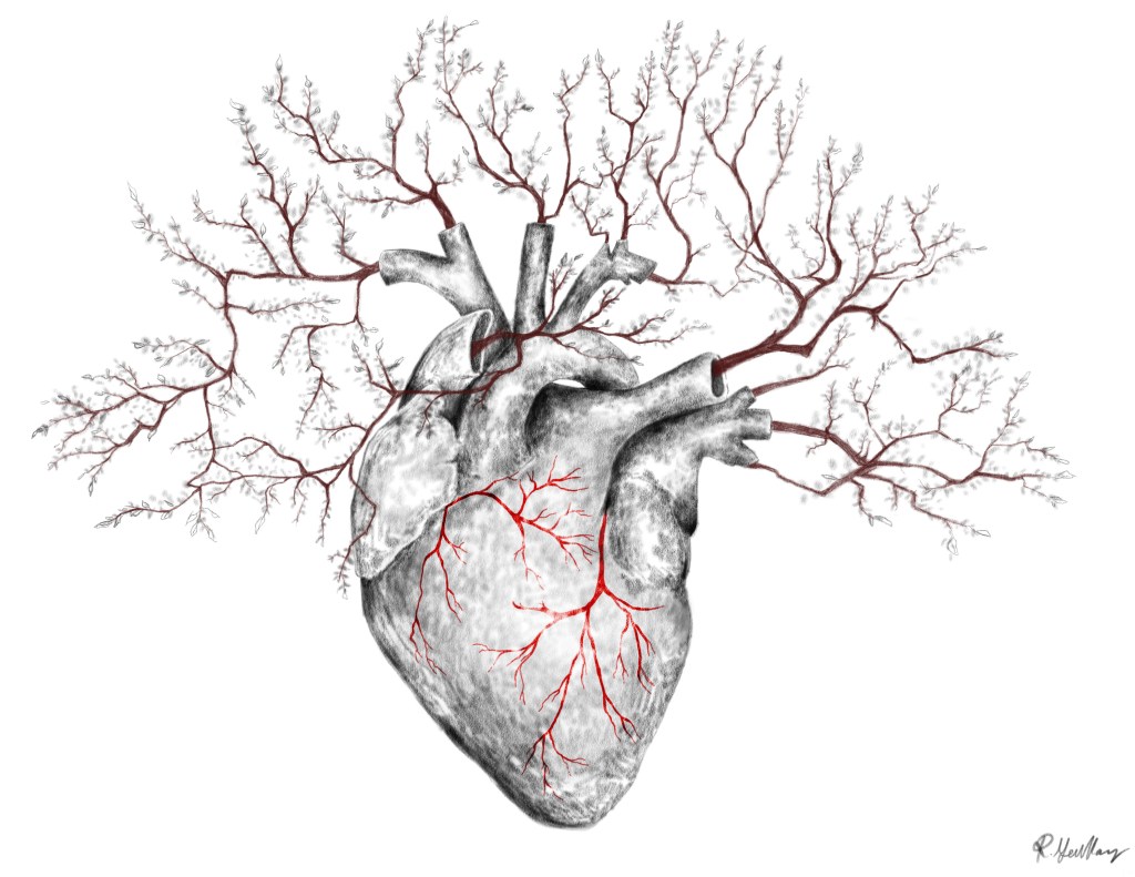 What do a broccoli, a lightning strike, and blood vessels have in&nbsp;common?