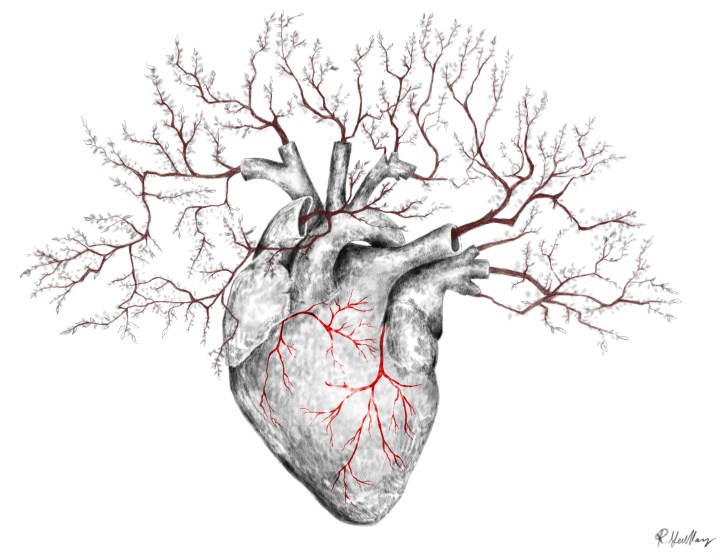 What do a broccoli, a lightning strike, and blood vessels have in&nbsp;common?