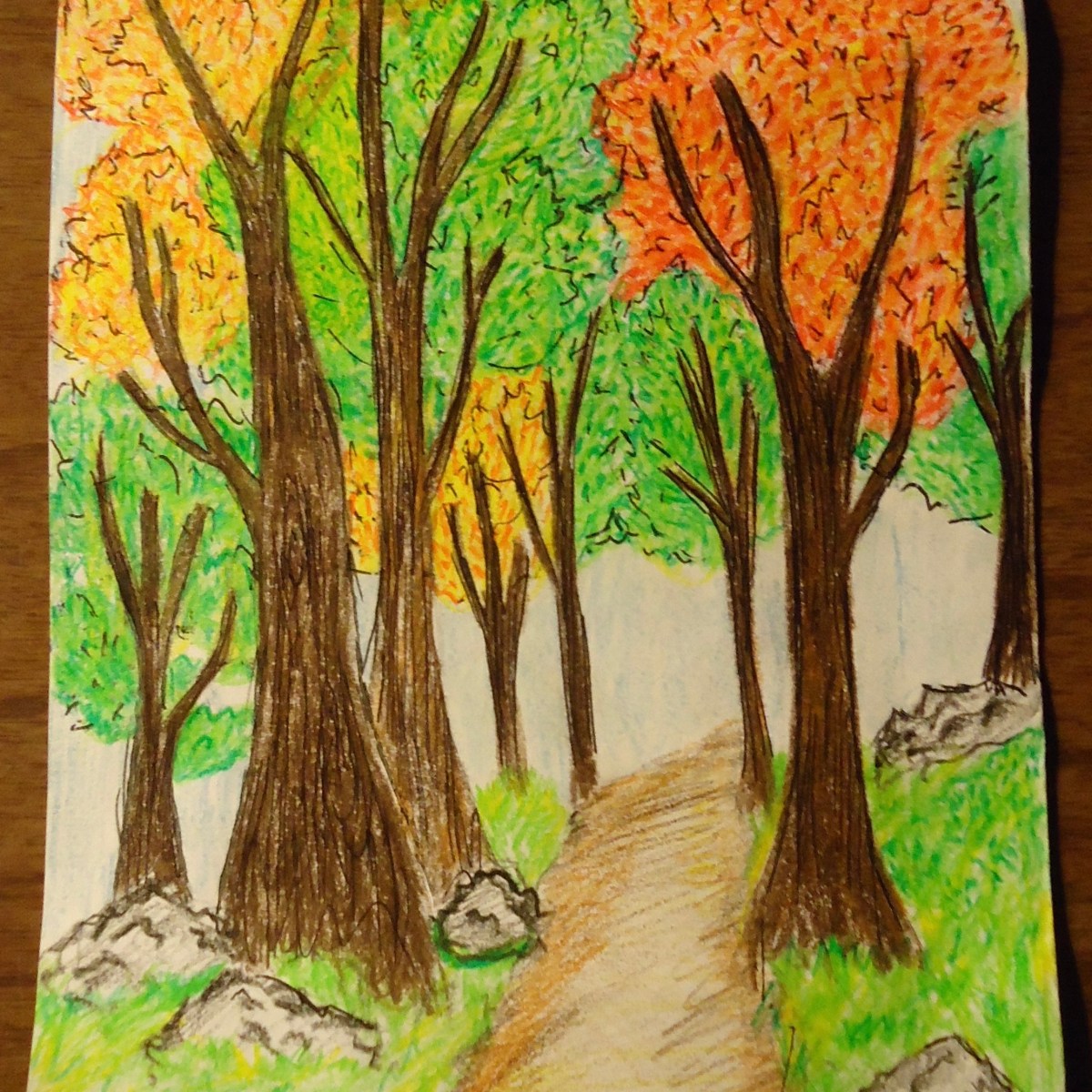 A stroll through the Morgan&nbsp;Arboretum