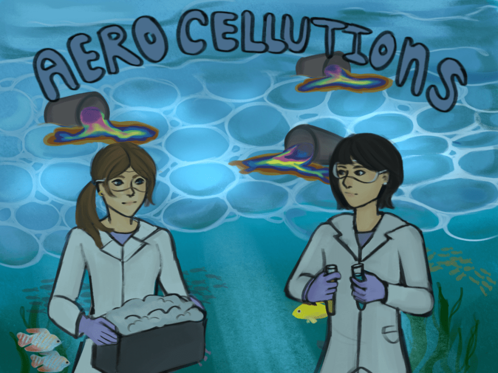 AeroCellutions X MSURJ