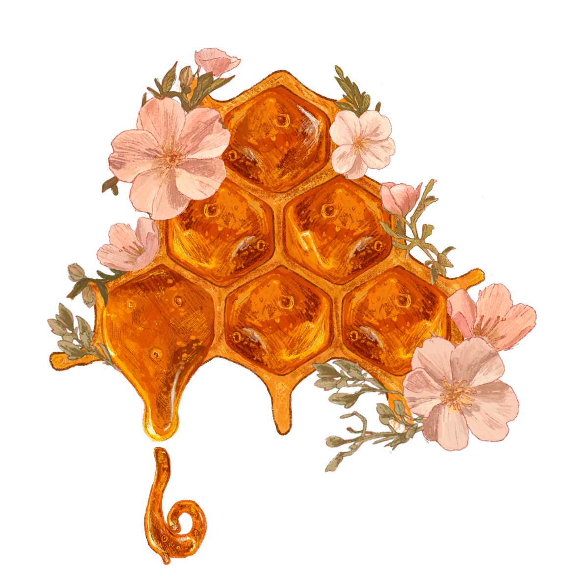 Your New Favorite Number: Part&nbsp;2