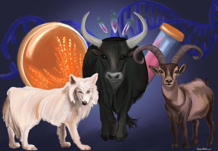 Back from the dead: The science of de-extinction